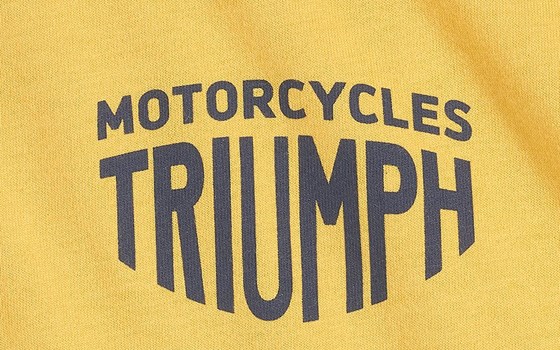 FENLAND GOLD/NAVY TEE-L - Bild 3