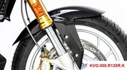 Carbon Kotflügel vorne für BMW R 1250 R