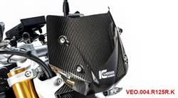 Carbon Windschild für BMW R 1250 R