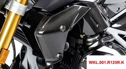 Carbon Kühlerverkleidung für BMW R 1250 R
