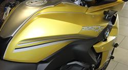 Deko-Streifen für BMW R 1250 RS