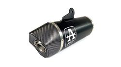 ARROW MAXI RACE TECH Schalldämpfer für BMW R 1250 RS