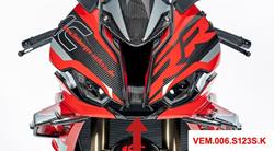 Verkleidungsmittelteil für BMW S1000RR (2019- )