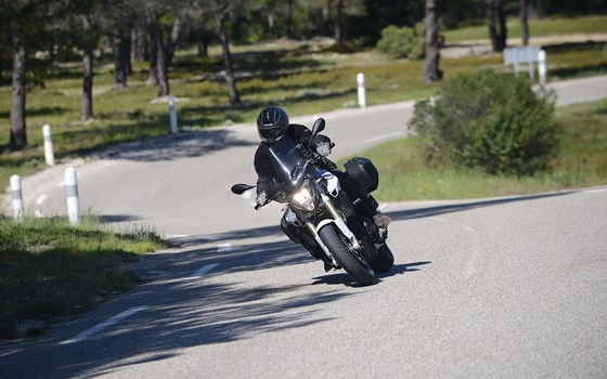 Bremsbehälterschutz hinten- silber - Bild 3