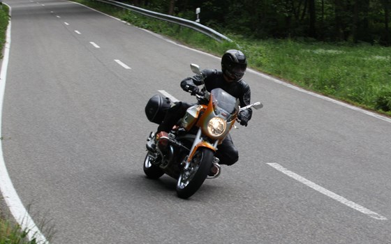 Verkleidung Classic-Trophy- unlackiert - Bild 2