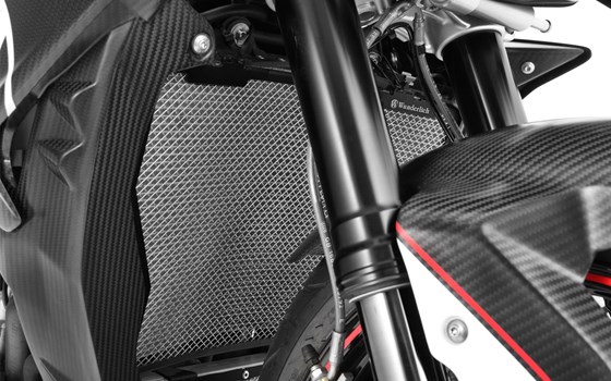 Wasserkühler Schutzgitter - Bild 1