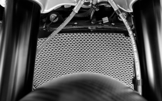 Wasserkühler Schutzgitter - Bild 2