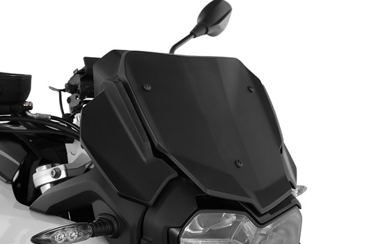 Windschild FLOWJET- matt schwarz - Bild 1