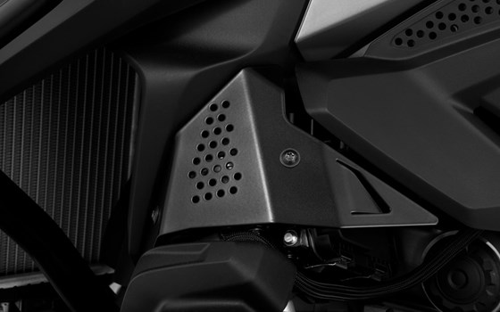 Abdeckung Einspritzanlage R 1250 GS - schwarz - links - Bild 1