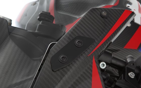 Abdeckung Spiegelaufnahmen TRACKDAY- schwarz - Bild 2