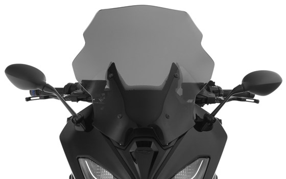 Verkleidungsscheibe MARATHON- rauchgrau - Bild 3