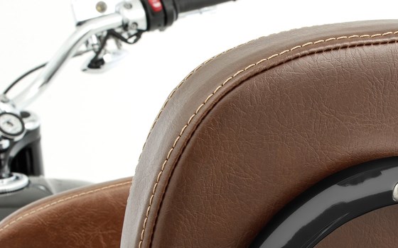 Rückenstütze- schwarz-braun - Bild 3