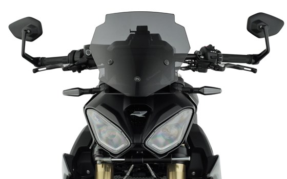 Verkleidungsscheibe SPORT- rauchgrau - Bild 1