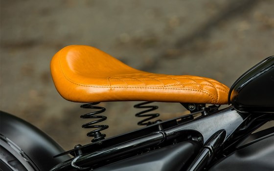 Federsatz für Schwingsattel RockBob mit Originalheck- schwarz - Bild 1