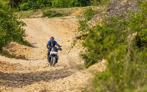 Kotflügel-Höherlegung- schwarz - Bild 3