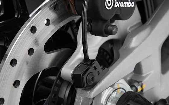 ABS-Sensorschutz Ducati - schwarz - hinten - Bild 2