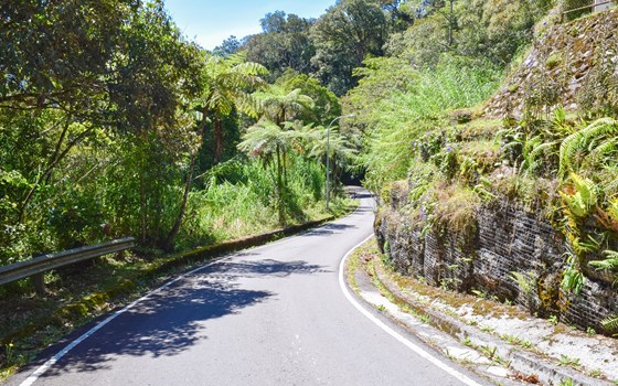 Motorradtour Neuseeland vom 25.01. - 28.02. oder 25.11. - 19.12.  - Bild 5 Motorradtour Neuseeland vom 25.01. - 28.02. oder 25.11. - 19.12.  - Bild 5