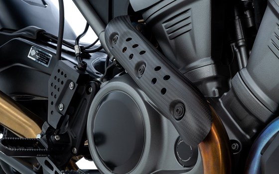 Krümmerschutz / Hitzeschutz- carbon - glänzend - Bild 1