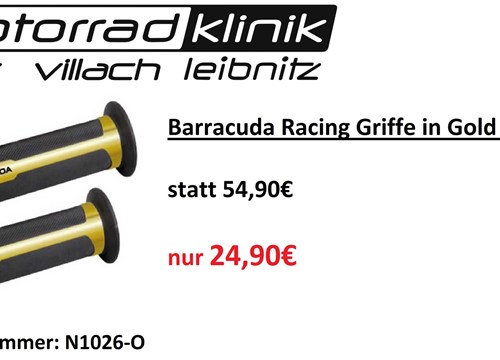 Barracuda Racing Griffe in Gold Ø22mm 