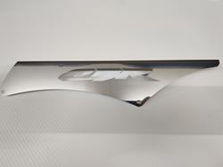 KETTENSCHUTZ CBR600F (CHROM)