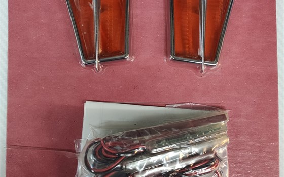 Trittbrettbeleuchtung - Passenger Board Light HONDA GL1800 - Bild 1