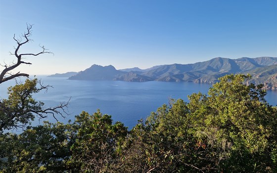 Korsika 2026 - Die Insel der Schönheit und Kurven - Bild 18