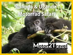 RUANDA & UGANDA GORILLA MOTORRAD SAFARI RUANDA & UGANDA GORILLA MOTORRAD SAFARI
