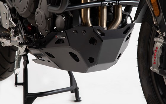 Motorschutz. Schwarz. Tiger 900 Modelle (19-23). Ohne OEM-SBL. - Bild 1