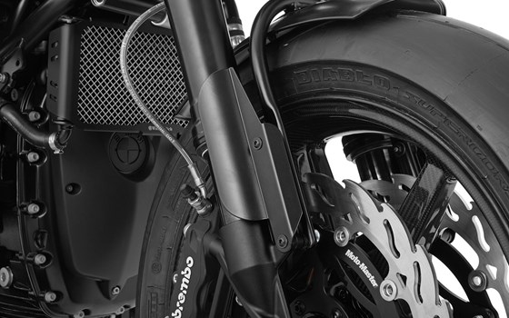 Gabelabdeckung R 12 (+R nineT)- schwarz - Bild 1