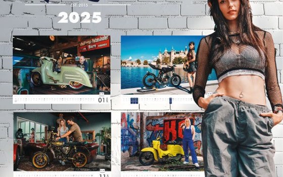 SIMSON - Vogelserie-Kalender 2025 - Bild 2