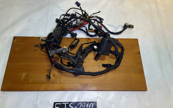 Ducati Hypermotard 1100 EVO SP 2010 Kabelbaum Hauptkabelbaum - Bild 1