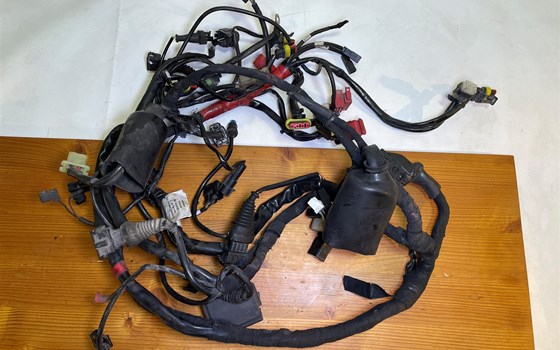 Ducati Hypermotard 1100 EVO SP 2010 Kabelbaum Hauptkabelbaum - Bild 2