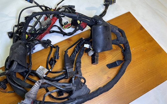 Ducati Hypermotard 1100 EVO SP 2010 Kabelbaum Hauptkabelbaum - Bild 4