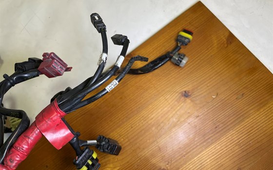 Ducati Hypermotard 1100 EVO SP 2010 Kabelbaum Hauptkabelbaum - Bild 6