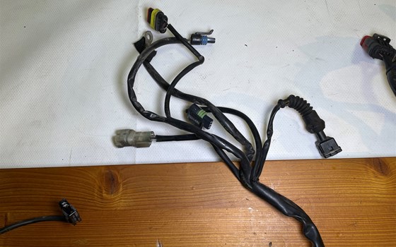 Ducati Hypermotard 1100 EVO SP 2010 Kabelbaum Hauptkabelbaum - Bild 7