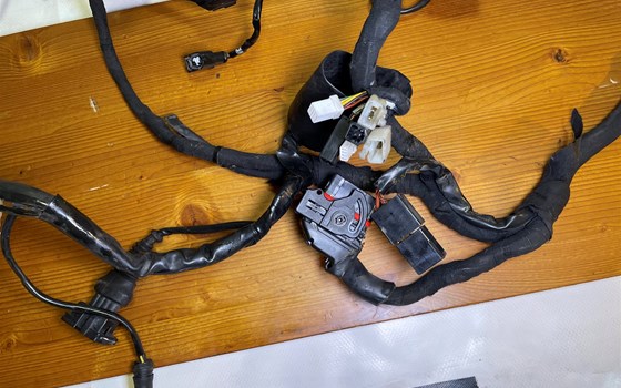 Ducati Hypermotard 1100 EVO SP 2010 Kabelbaum Hauptkabelbaum - Bild 9