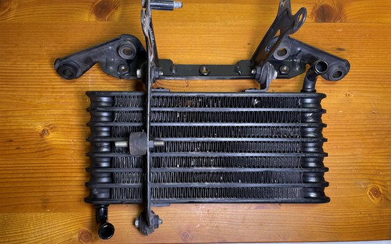 Aprilia RSV 1000 Tuono RP 2003 Ölkühler Kühler - Bild 2