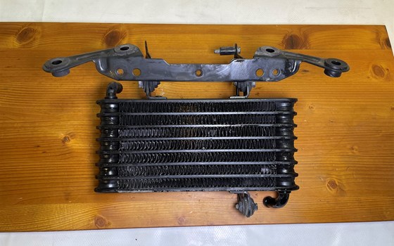 Aprilia RSV 1000 Tuono RP 2003 Ölkühler Kühler - Bild 5