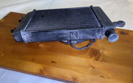 Aprilia RSV 1000 Tuono RP 2003 Wasserkühler rechts Kühler Lüfter - Bild 4