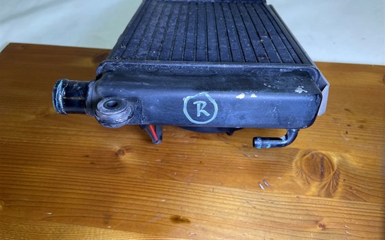 Aprilia RSV 1000 Tuono RP 2003 Wasserkühler rechts Kühler Lüfter - Bild 5