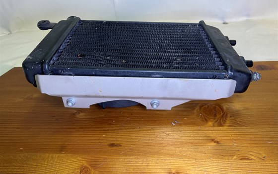 Aprilia RSV 1000 Tuono RP 2003 Wasserkühler rechts Kühler Lüfter - Bild 6