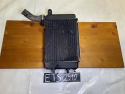 Aprilia RSV 1000 Tuono RP 2003 Wasserkühler Kühler links Lüfter Aprilia RSV 1000 Tuono RP 2003 Wasserkühler Kühler links Lüfter