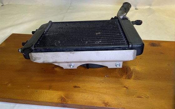 Aprilia RSV 1000 Tuono RP 2003 Wasserkühler Kühler links Lüfter - Bild 4