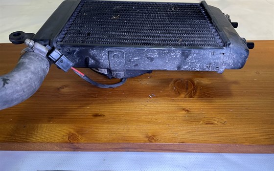 Aprilia RSV 1000 Tuono RP 2003 Wasserkühler Kühler links Lüfter - Bild 6