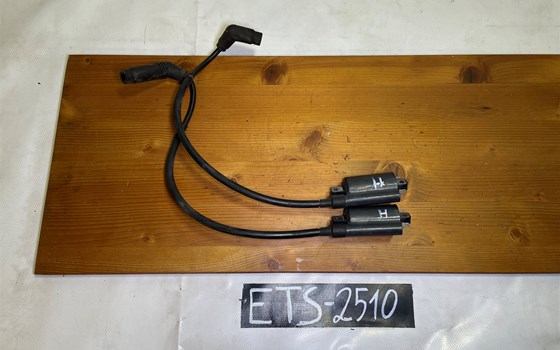 Aprilia RSV 1000 Tuono RP 2003 Zündspulen hinten - Bild 1