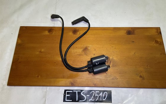 Aprilia RSV 1000 Tuono Rp 2003 Zündspulen vorne - Bild 1