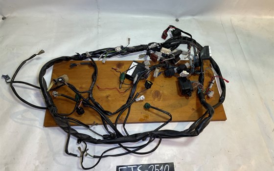 Aprilia RSV 1000 Tuono RP 2003 Kabelbaum Hauptkabelbaum - Bild 1