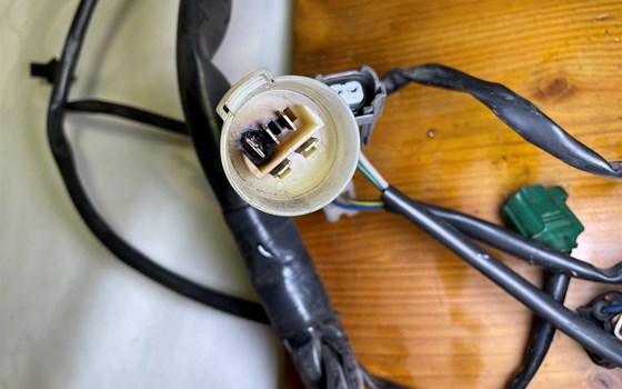 Aprilia RSV 1000 Tuono RP 2003 Kabelbaum Hauptkabelbaum - Bild 10