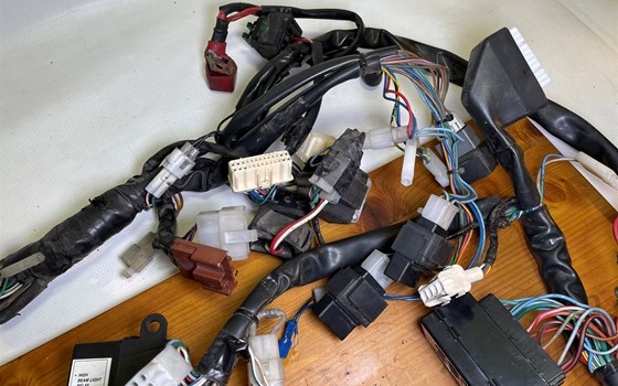 Aprilia RSV 1000 Tuono RP 2003 Kabelbaum Hauptkabelbaum - Bild 11