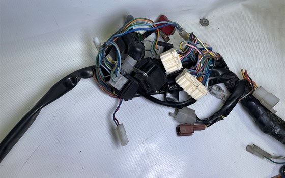 Aprilia RSV 1000 Tuono RP 2003 Kabelbaum Hauptkabelbaum - Bild 12